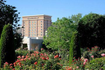 Hampton & Boise-downtown 3*