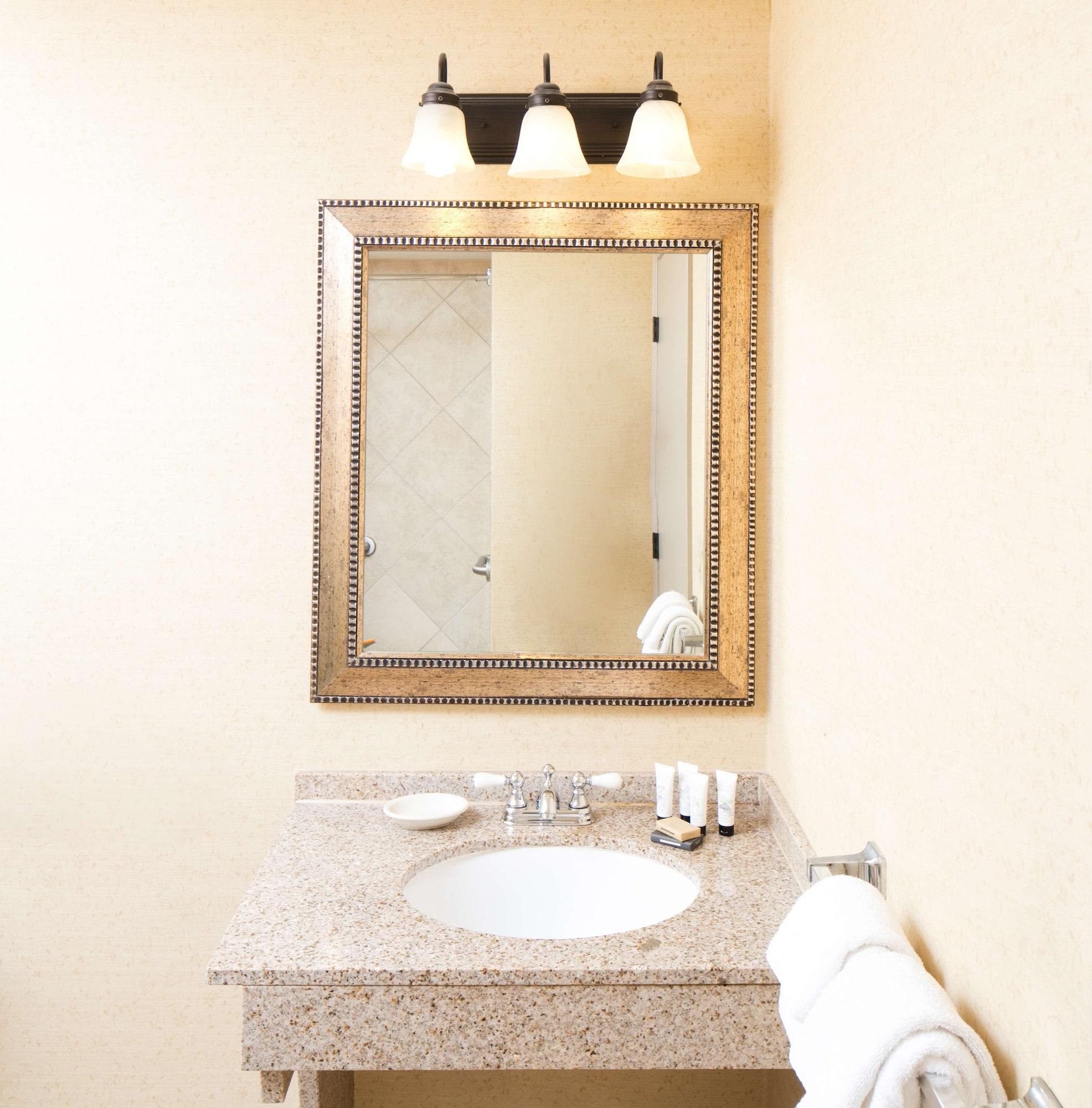 Red Lion Downtowner 3* Boise