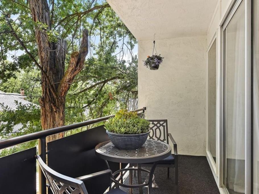 Apartment 24! Prized Location. Modern! Bright! Enjoy!
