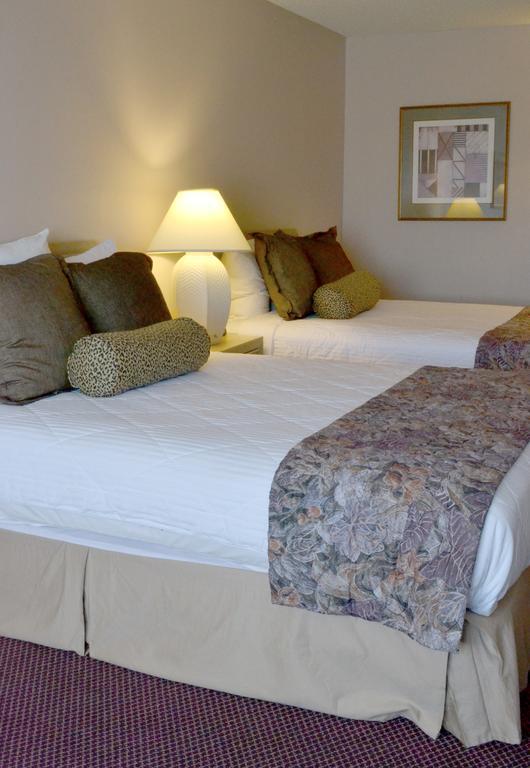 Hotel Safari Downtown 2*