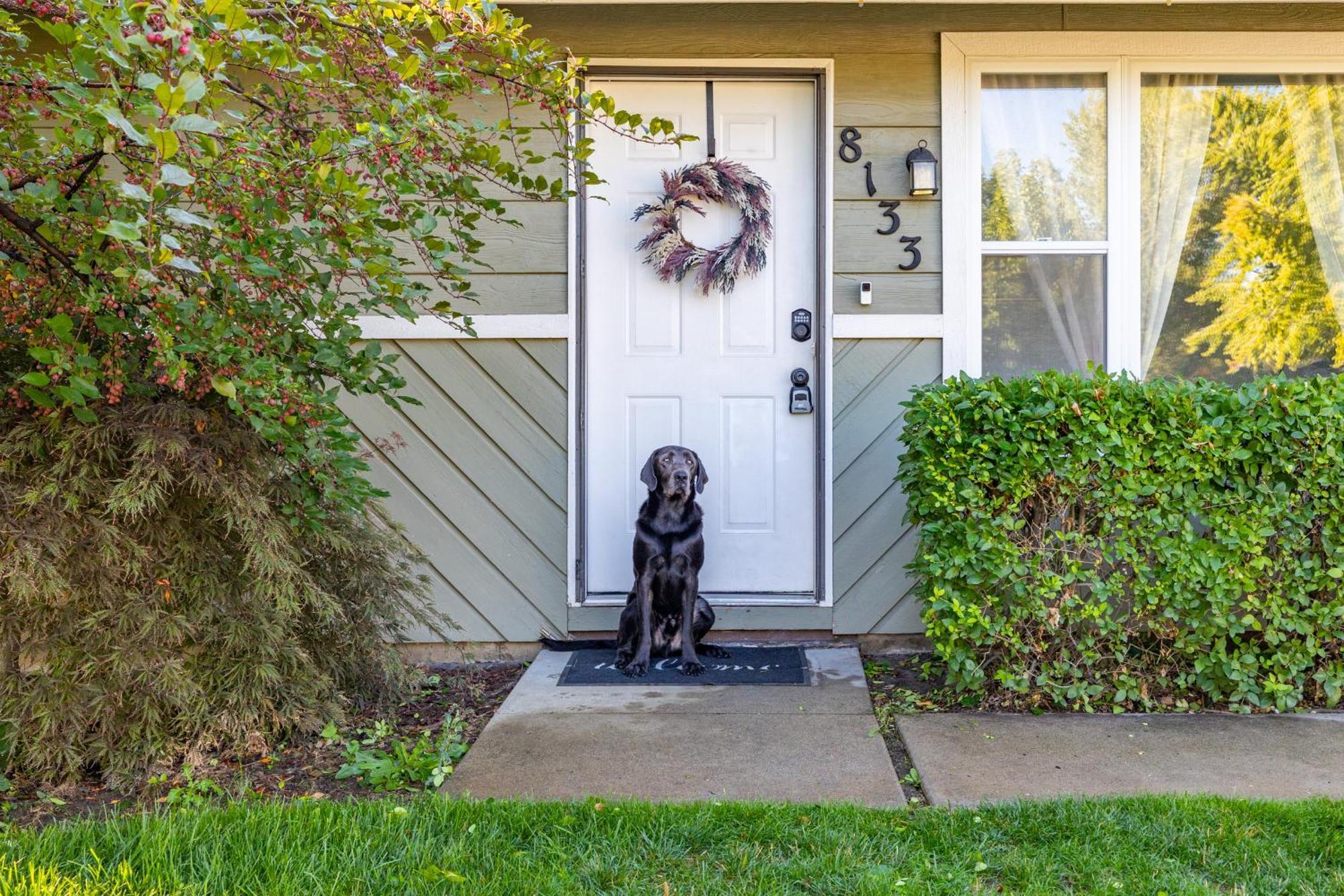 Cozy With Private Yard And Game Boise