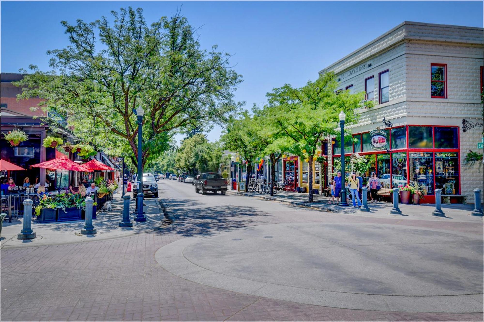 Red Ivy #4 * Boise