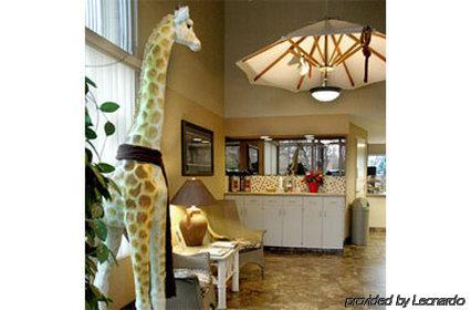 Hotel Safari Downtown