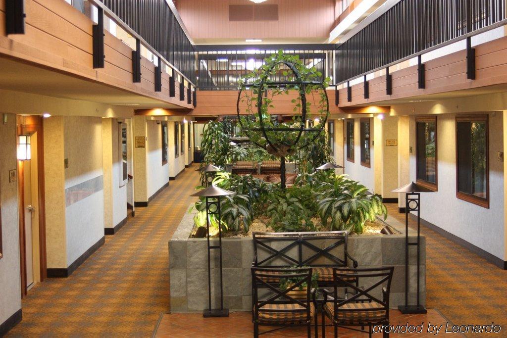 Western Vista At The Airport Hotel 3*