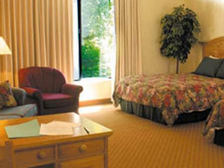 Harrison Plaza 3*