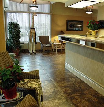 Hotel Safari Downtown 2*