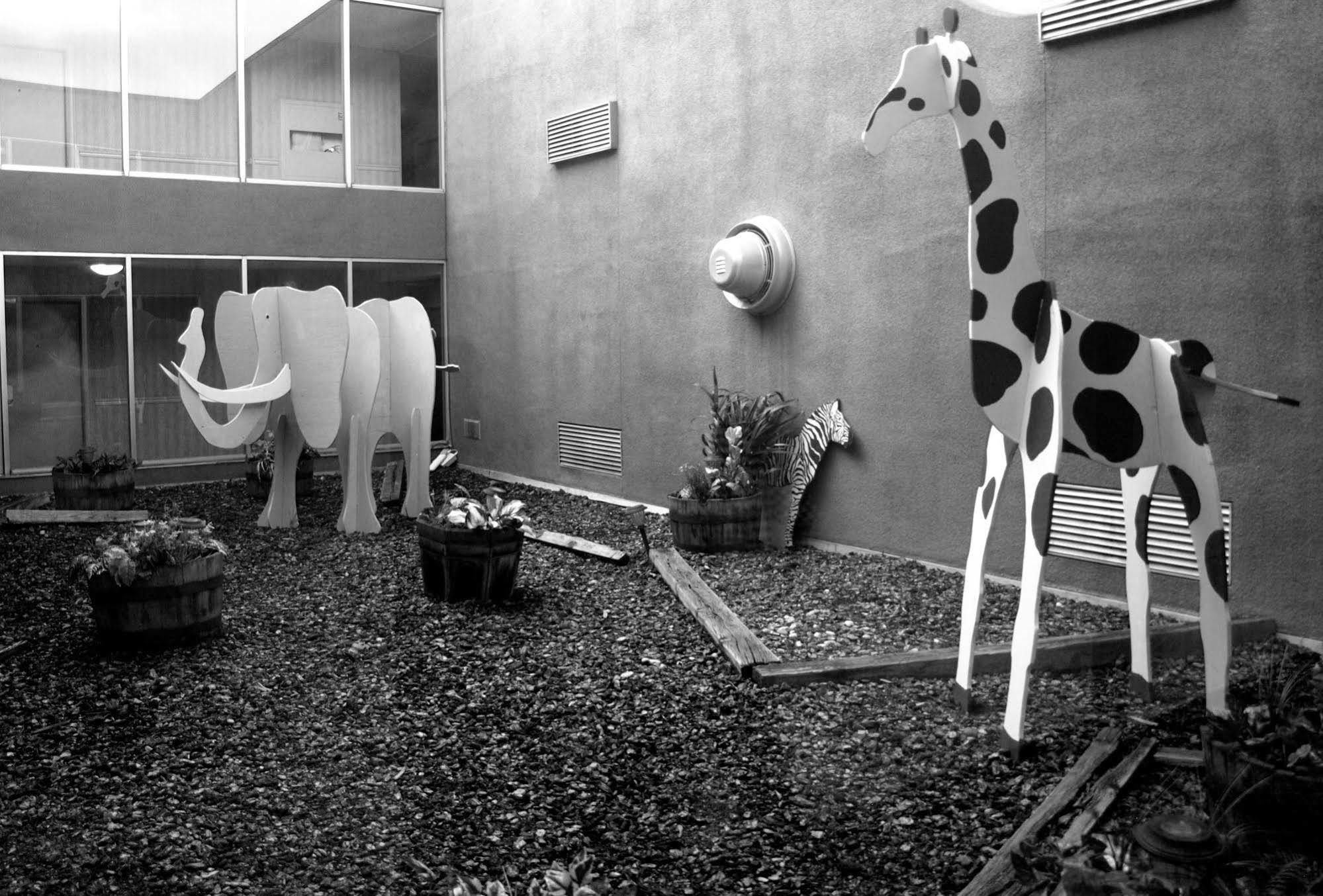 Hotel Safari Downtown