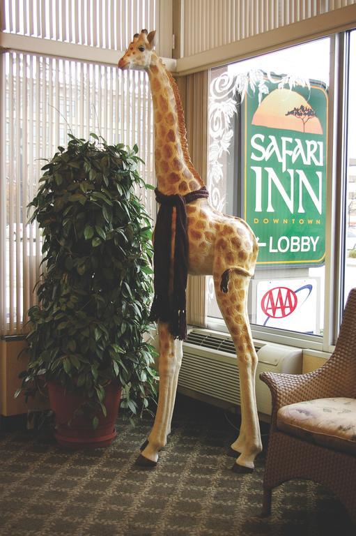 Safari Downtown