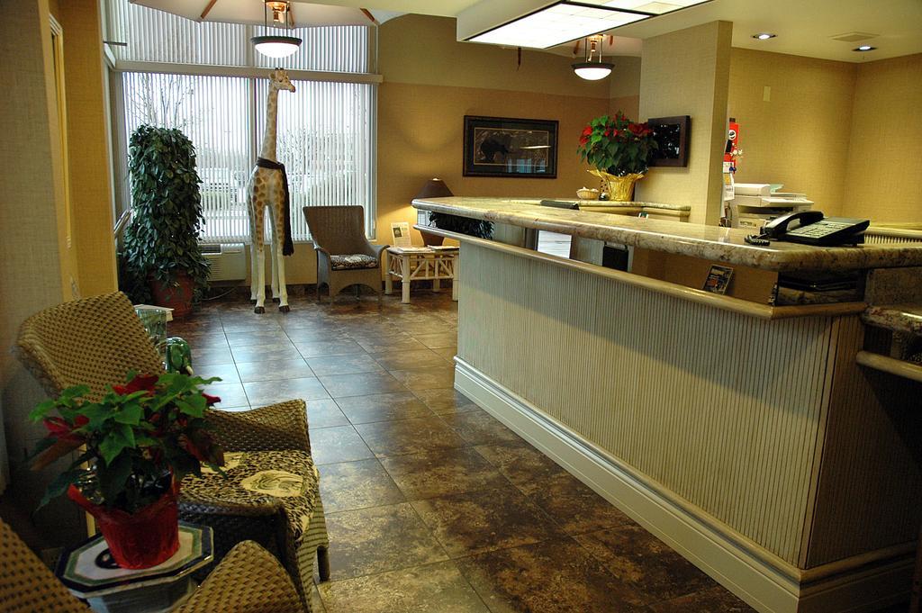 Hotel Safari Downtown 2*