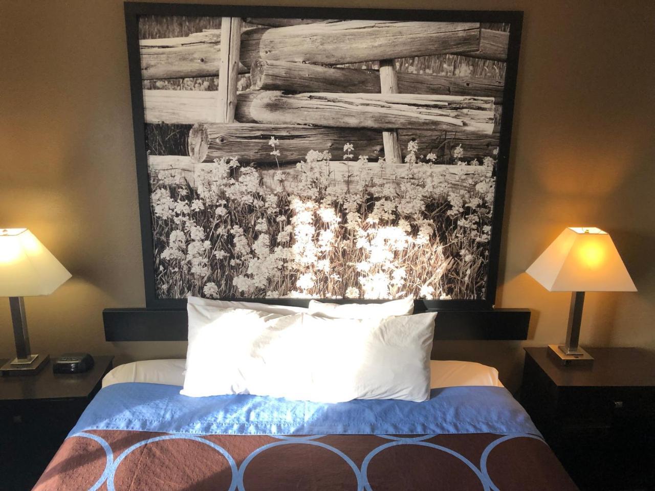 Super 8 By Wyndham Hotel