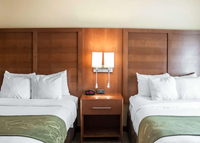 Comfort Suites Airport