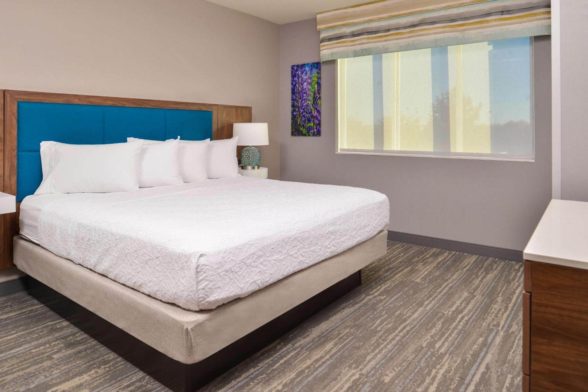 Hampton & Boise/spectrum Hotel Boise