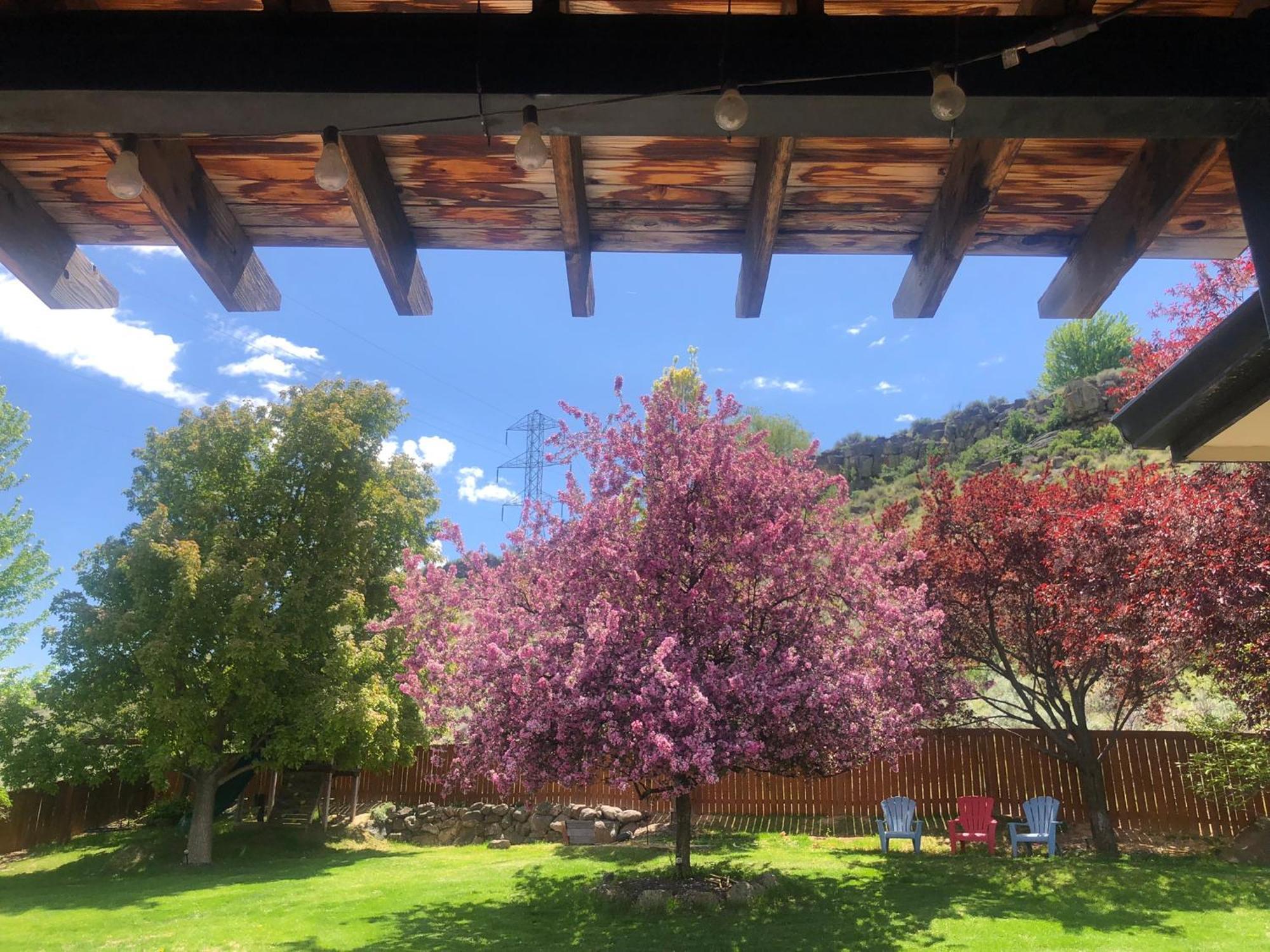 Se Serenity, Covered Patios, Gas Fire Pit, Games *