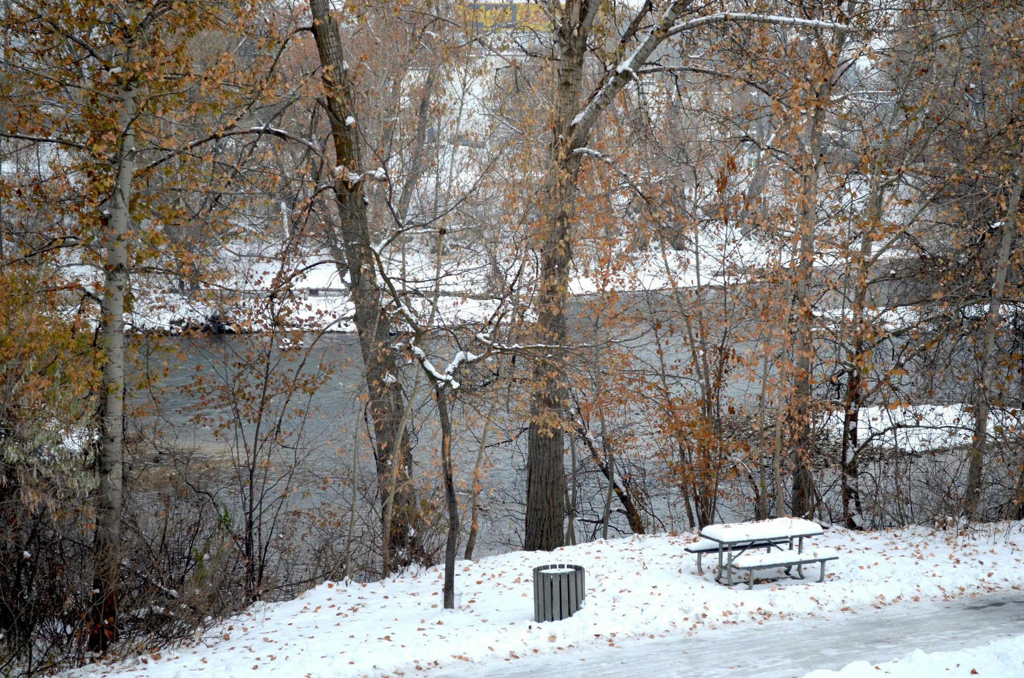 Cottonwood Riverside Downtown Boise