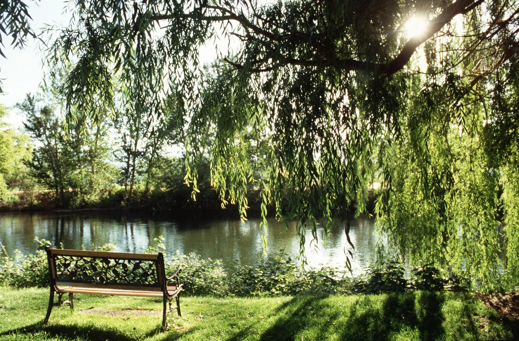 Riverside Hotel, Bw Premier Collection Hotel 3*